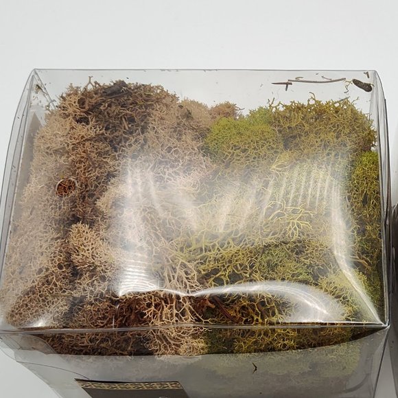 Pier 1 Imports Decorative Filler  2 Boxes Green and Brown Moss New - Picture 3 of 5